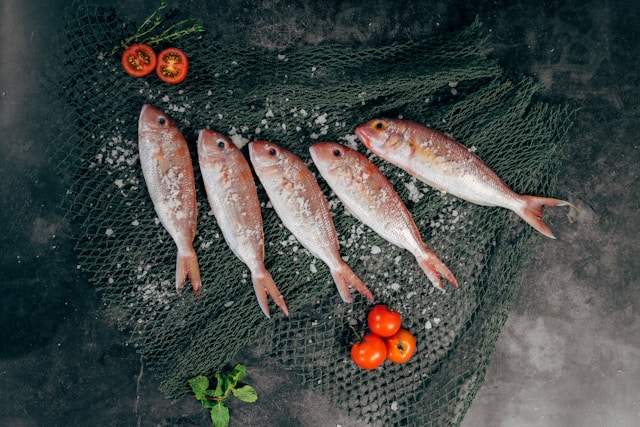 魚